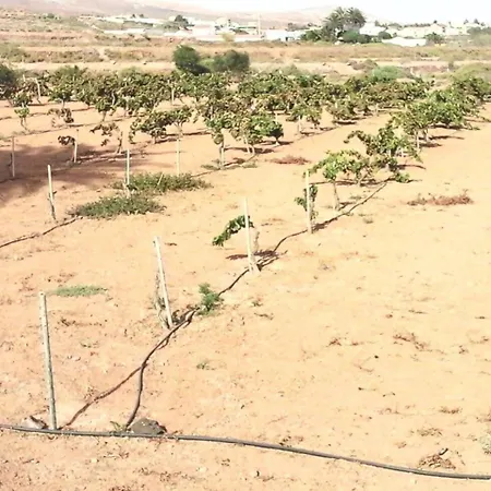 Rural Rugama Vakantieboerderij Puerto del Rosario (Fuerteventura)